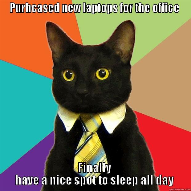 PURHCASED NEW LAPTOPS FOR THE OFFICE FINALLY HAVE A NICE SPOT TO SLEEP ALL DAY Business Cat