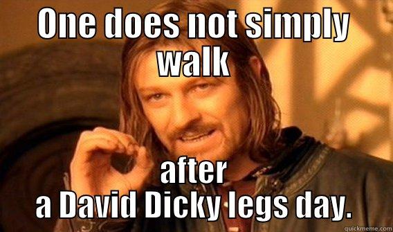 ONE DOES NOT SIMPLY WALK AFTER A DAVID DICKY LEGS DAY. One Does Not Simply