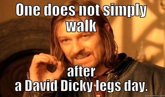 ONE DOES NOT SIMPLY WALK AFTER A DAVID DICKY LEGS DAY. One Does Not Simply