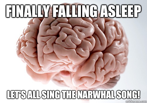 Finally falling asleep Let's all sing the narwhal song!  Scumbag Brain