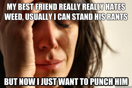 My best friend really really hates weed, usually i can stand his rants but now i just want to punch him  FirstWorldProblems