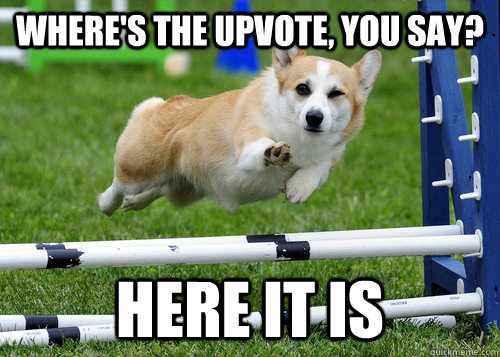 Where's the upvote, you say? here it is  - Where's the upvote, you say? here it is   Photogenic Corgi