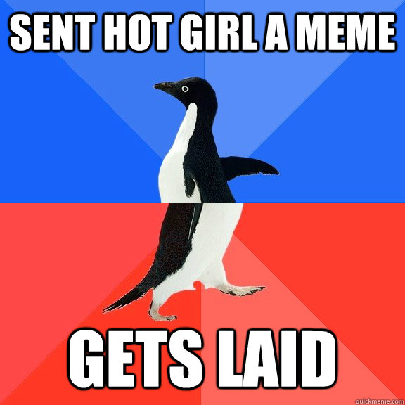sent hot girl a meme Gets laid  Socially Awkward Awesome Penguin