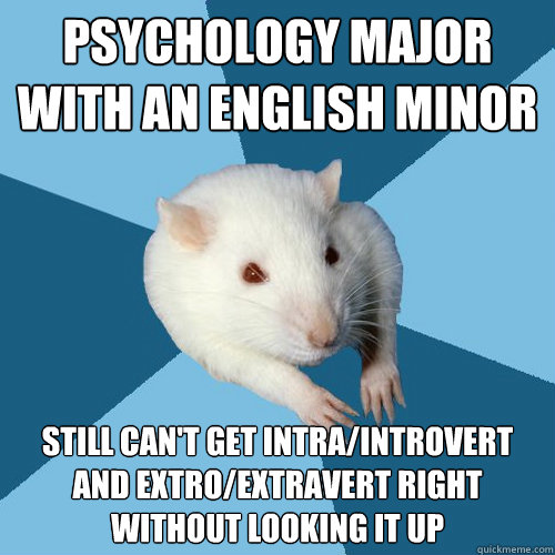 Psychology Major with an English minor Still can't get intra/introvert and extro/extravert right without looking it up - Psychology Major with an English minor Still can't get intra/introvert and extro/extravert right without looking it up  Psychology Major Rat