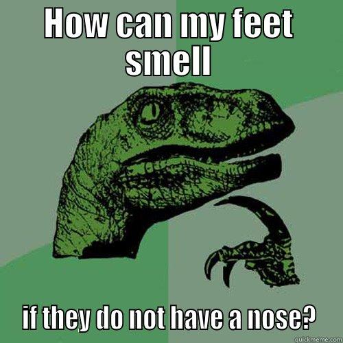 HOW CAN MY FEET SMELL  IF THEY DO NOT HAVE A NOSE?  Philosoraptor