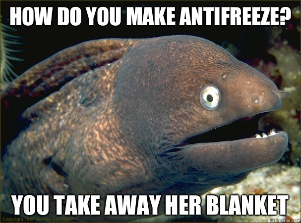 How do you make antifreeze? You take away her blanket  Bad Joke Eel