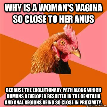 Why is a woman's vagina so close to her anus Because the evolutionary path along which humans developed resulted in the genitalia and anal regions being so close in proximity. - Why is a woman's vagina so close to her anus Because the evolutionary path along which humans developed resulted in the genitalia and anal regions being so close in proximity.  Misc