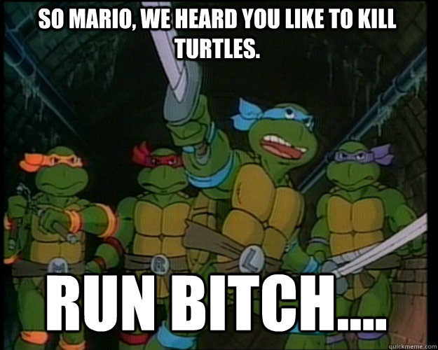 So mario, we heard you like to kill turtles. Run bitch.... - So mario, we heard you like to kill turtles. Run bitch....  Misc