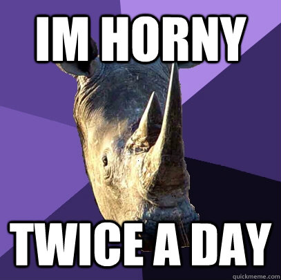 im horny twice a day  Sexually Oblivious Rhino