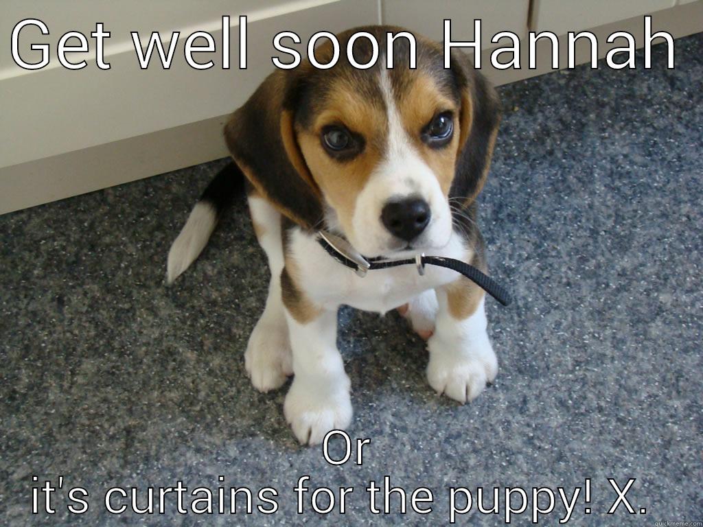 Get well soon  - GET WELL SOON HANNAH  OR IT'S CURTAINS FOR THE PUPPY! X.  Misc