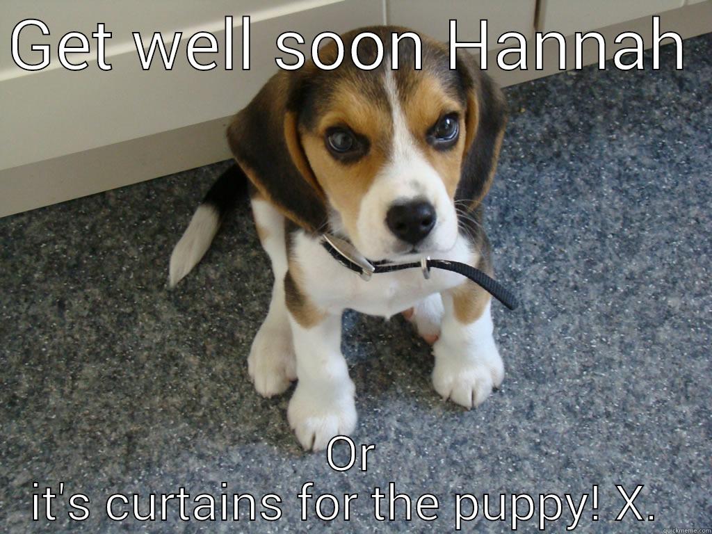 GET WELL SOON HANNAH  OR IT'S CURTAINS FOR THE PUPPY! X.  Misc