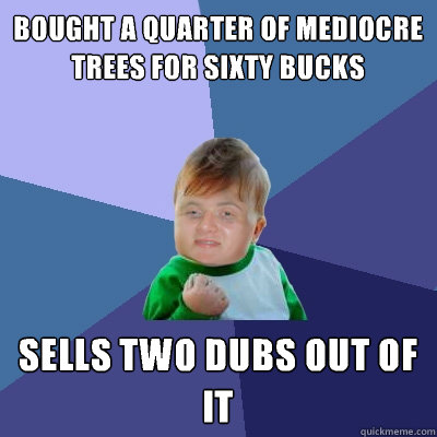 Bought a quarter of mediocre trees for sixty bucks Sells two dubs out of it  