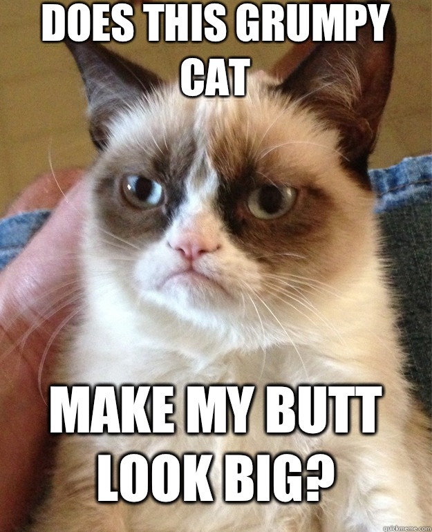 Does this Grumpy Cat make my butt look big?  Grumpy Cat