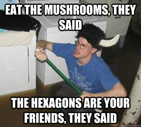 eat the mushrooms, they said the hexagons are your friends, they said  They said