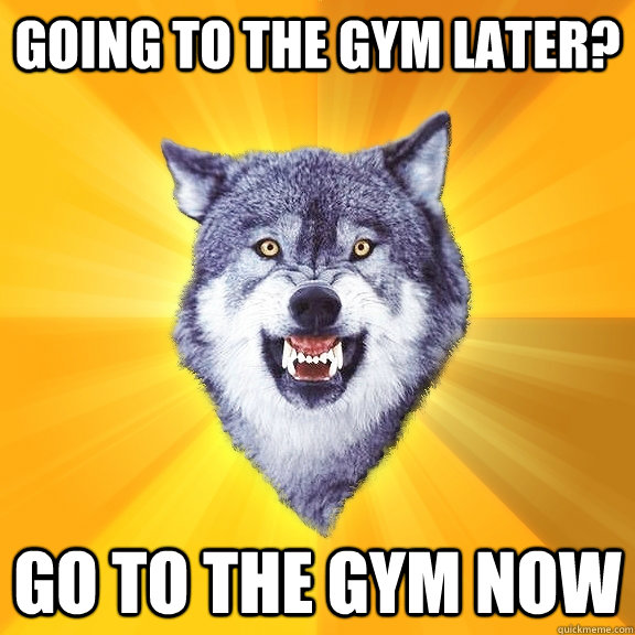 Going to the gym later? Go to the gym now  Courage Wolf