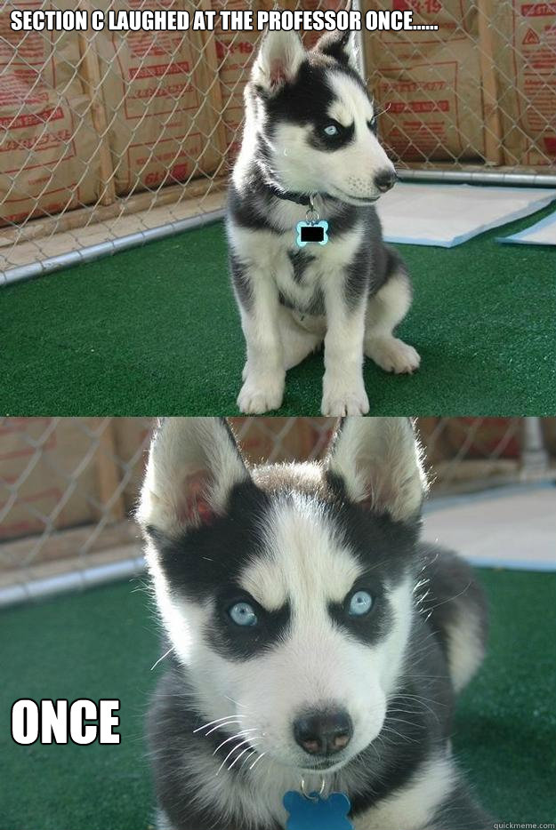 Section C laughed at the professor once...... once  Insanity puppy