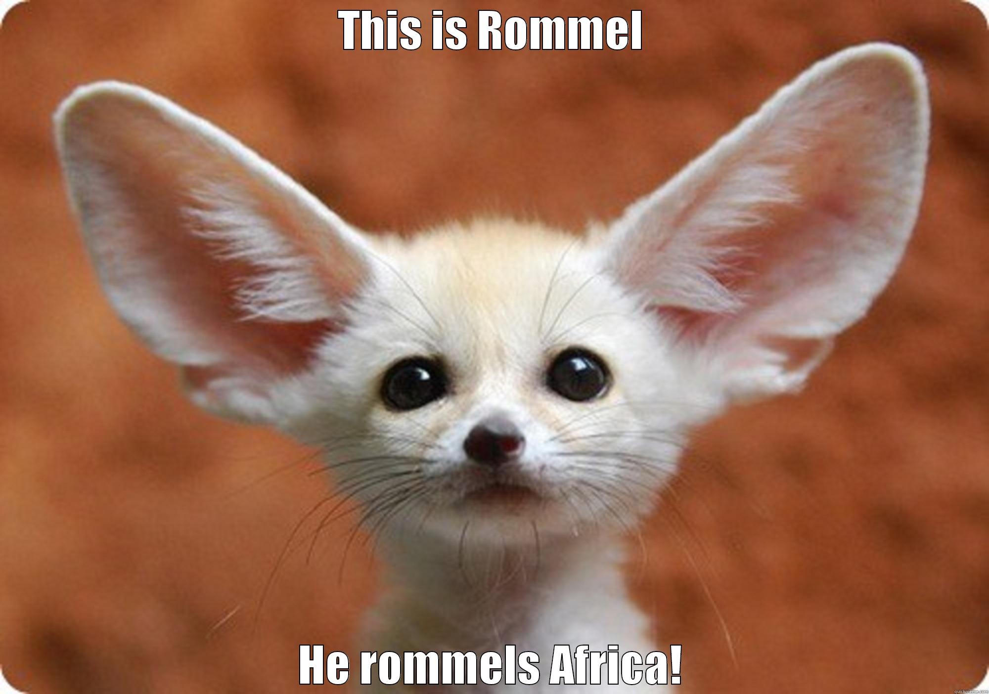 THIS IS ROMMEL HE ROMMELS AFRICA! Misc