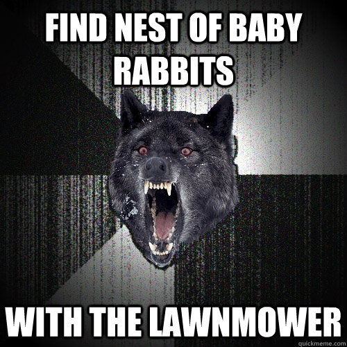 find nest of baby rabbits with the lawnmower  Insanity Wolf