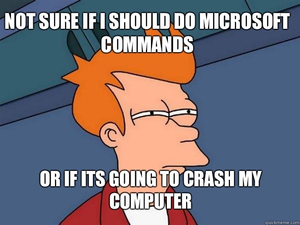 not sure if I should do Microsoft commands or if its going to crash my computer - not sure if I should do Microsoft commands or if its going to crash my computer  Futurama Fry