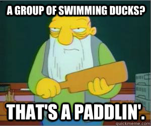 A group of swimming ducks? That's a paddlin'. - A group of swimming ducks? That's a paddlin'.  Paddlin Jasper