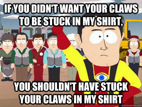 If you didn't want your claws to be stuck in my shirt, You shouldn't have stuck your claws in my shirt  South Park memes