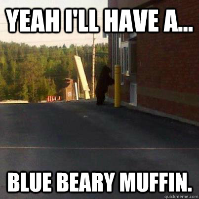 Yeah i'll have a... Blue Beary Muffin. - Yeah i'll have a... Blue Beary Muffin.  Tim Hortons Bear