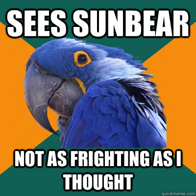 sees Sunbear not as frighting as I thought  Paranoid Parrot