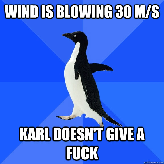 Wind is blowing 30 m/s Karl doesn't give a fuck  Socially Awkward Penguin