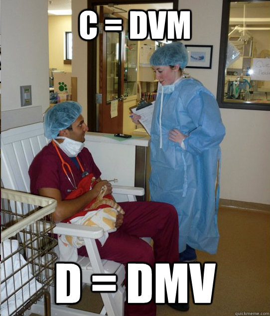 c = dvm D = DMV - c = dvm D = DMV  Overworked Veterinary Student