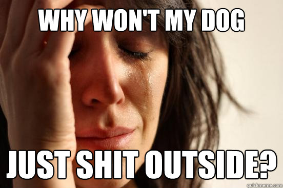 Why won't my dog just shit outside?  First World Problems