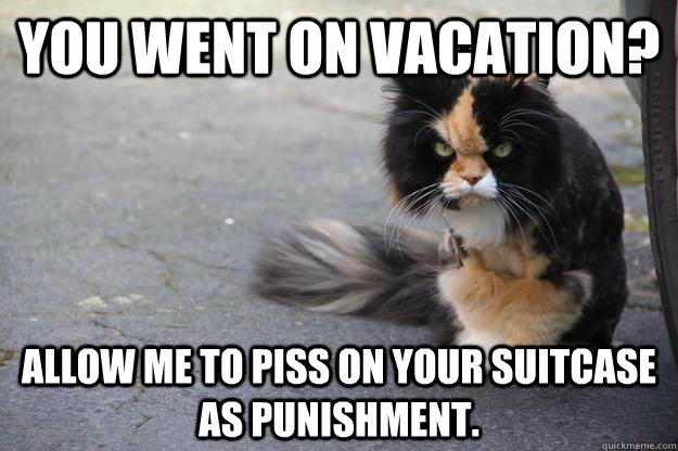 You went on vacation? Allow me to piss on your suitcase as punishment.  Angry Cat