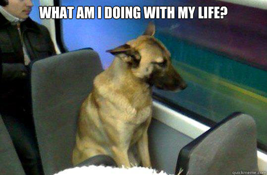 What am I doing with my life?   