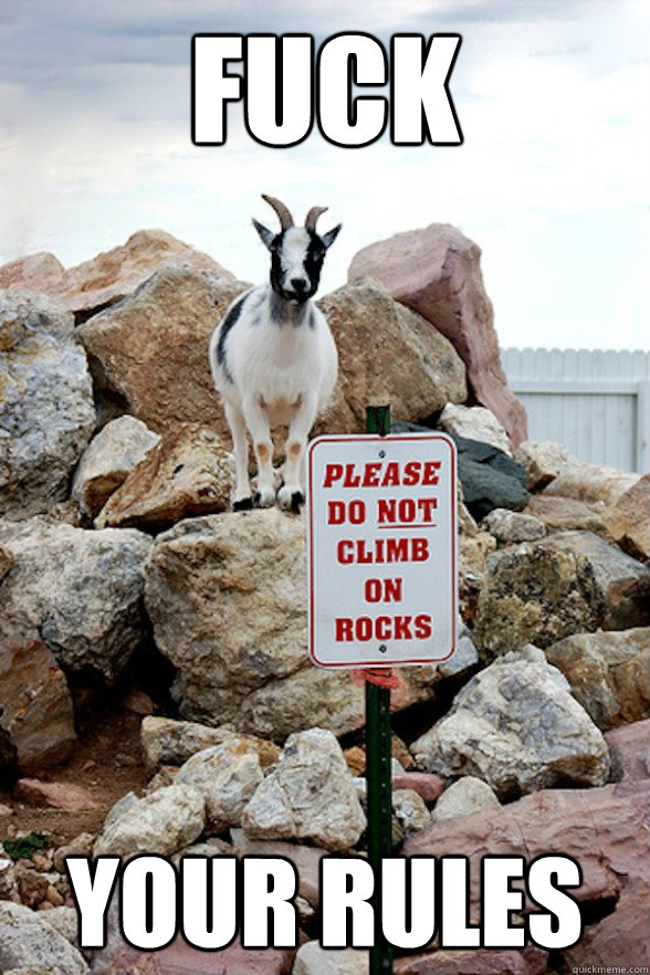 fuck your rules  Rebellious Billy Goat