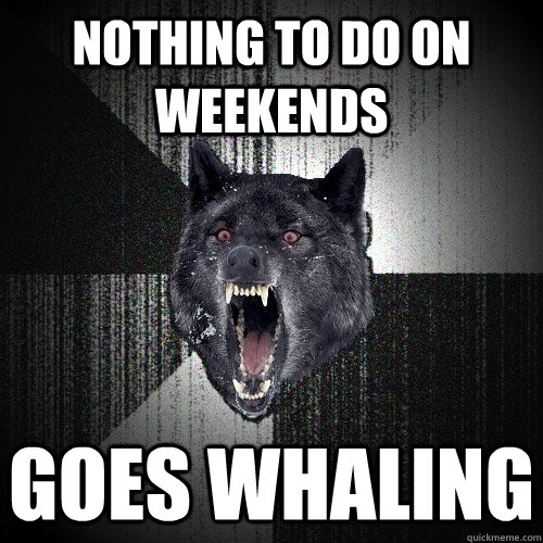 nothing to do on weekends Goes whaling  Insanity Wolf