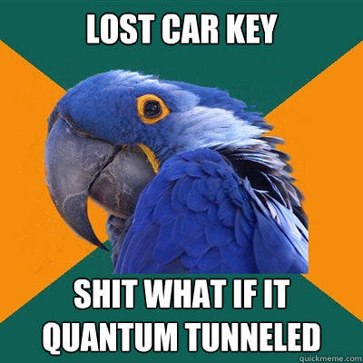 lost car key shit what if it quantum tunneled  Paranoid Parrot