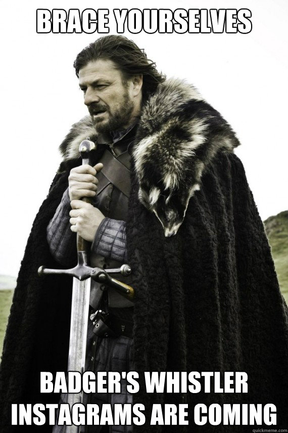 Brace yourselves badger's whistler instagrams are coming  Brace yourself