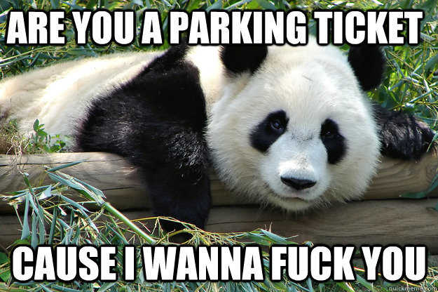 Are you a parking ticket cause i wanna fuck you - Are you a parking ticket cause i wanna fuck you  Terrible Pick-Up Line Panda