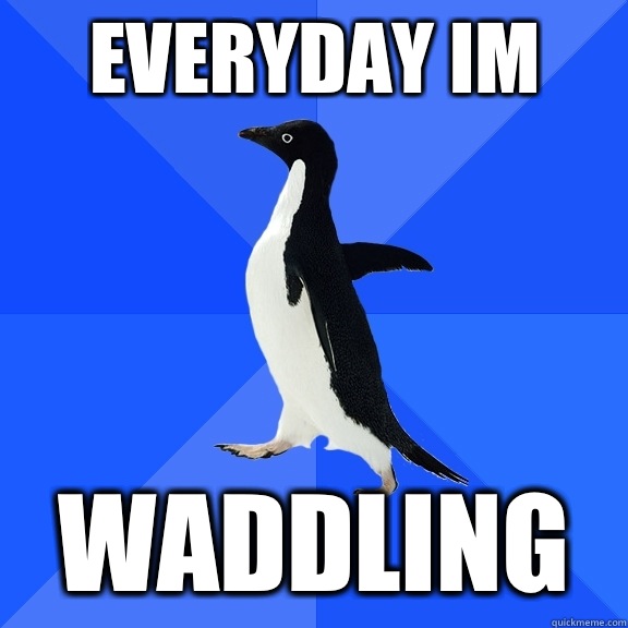 Everyday im Waddling  Socially Awkward Penguin
