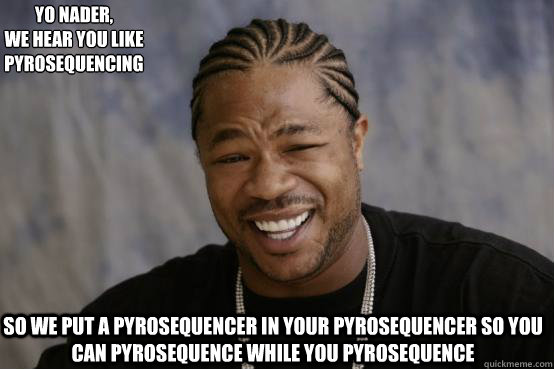 Yo Nader,
we hear you like Pyrosequencing so we put a Pyrosequencer in your pyrosequencer so you can pyrosequence while you pyrosequence  YO DAWG