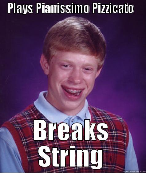 PLAYS PIANISSIMO PIZZICATO  BREAKS STRING Bad Luck Brian
