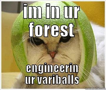 IM IN UR FOREST ENGINEERIN UR VARIBALLS Misc