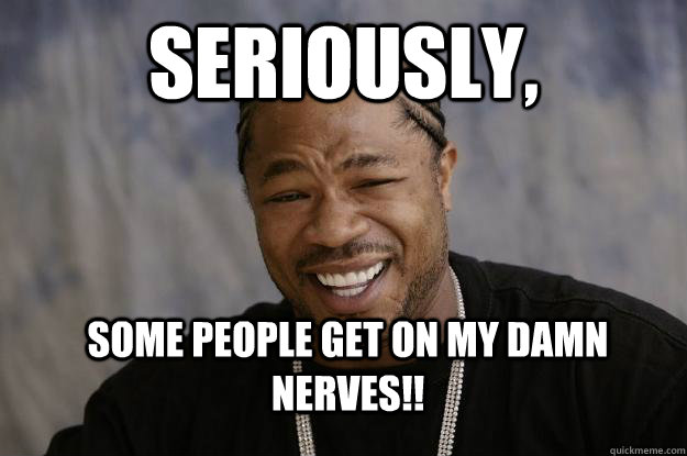 Seriously,  Some people get on my damn nerves!!  Xzibit meme 2