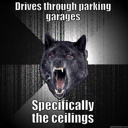 DRIVES THROUGH PARKING GARAGES SPECIFICALLY THE CEILINGS Insanity Wolf