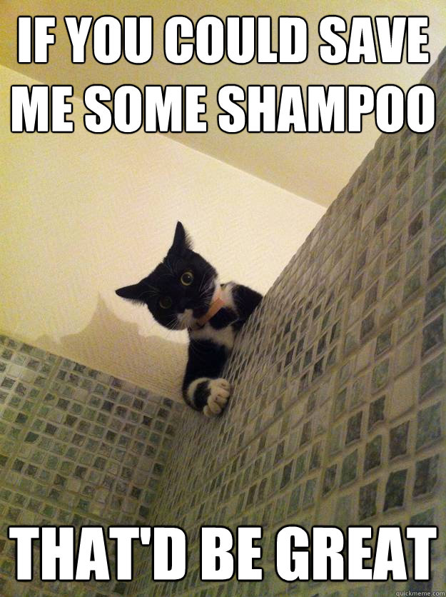if you could save me some shampoo That'd be great - if you could save me some shampoo That'd be great  Misc