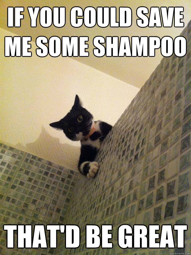 if you could save me some shampoo That'd be great Misc quickmeme
