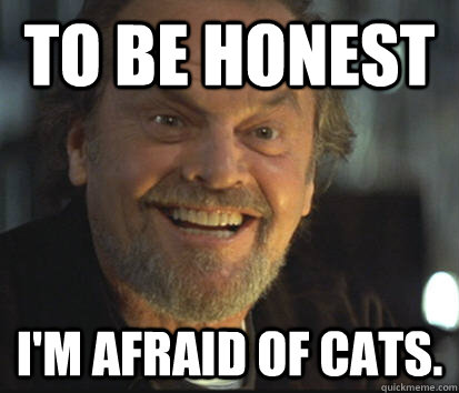 To be honest I'm afraid of cats. - To be honest I'm afraid of cats.  Truthful Jack Nicholson