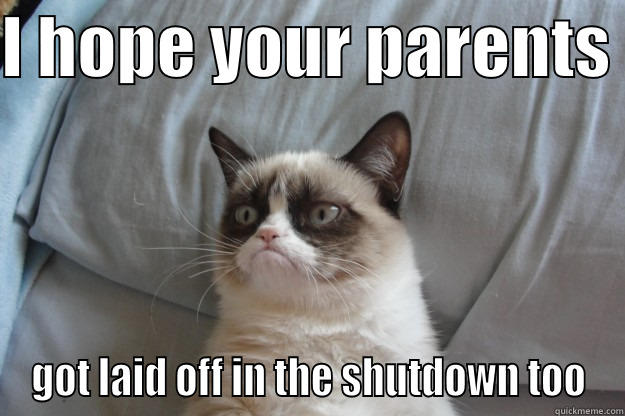 I HOPE YOUR PARENTS  GOT LAID OFF IN THE SHUTDOWN TOO Grumpy Cat