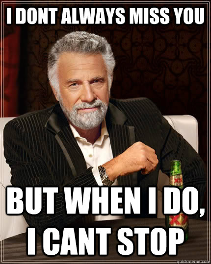 i dont always miss you but when i do, i cant stop  The Most Interesting Man In The World