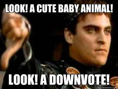 Look! a cute baby animal! Look! A Downvote!  Downvoting Roman