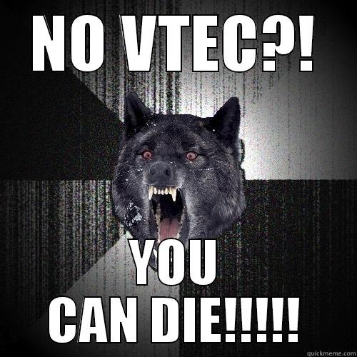vtec lawl - NO VTEC?! YOU CAN DIE!!!!! Insanity Wolf